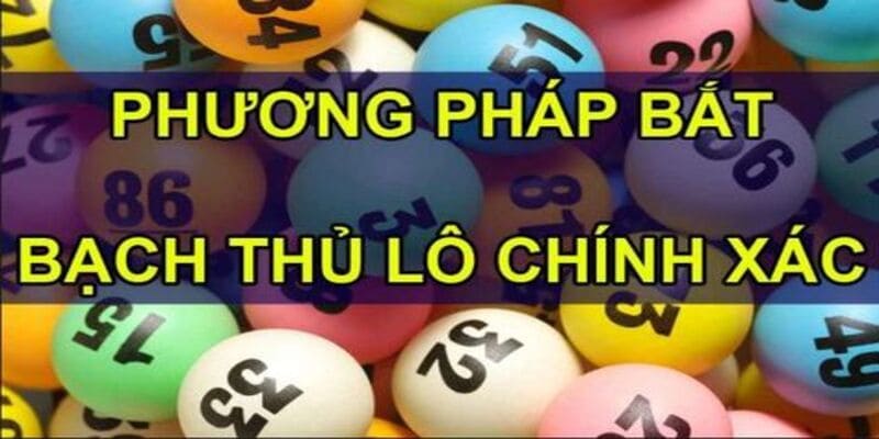 Cách thức tham gia Bạch Thủ Lô